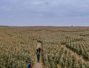 Mile High Farms Colorado 2020 11