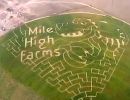 Mile High Farms 2013 Corn Maze