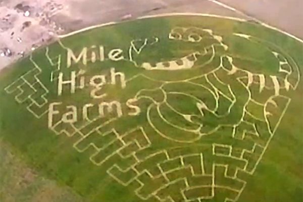 Mile High Farms 2013 Corn Maze