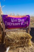 mile high farms colorado mini maze entrance