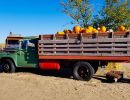 mile high farms colorado pumpkins truck