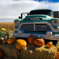mile high farms pumpkin truck
