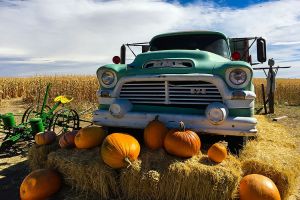 mile high farms pumpkin truck