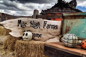 mile high farms welcome colorado