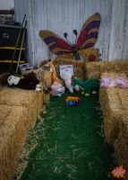 Mile High Farms Colorado 2020 29