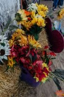 Mile High Farms Colorado 2020 30