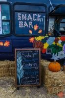 Mile High Farms Colorado 2020 35