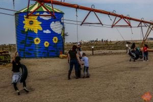 Mile High Farms Colorado 2020 36