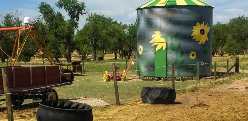 mile high farm scene colorado