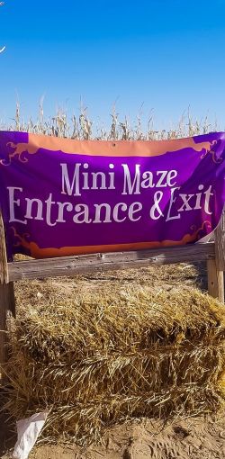 mile high farms colorado mini maze entrance