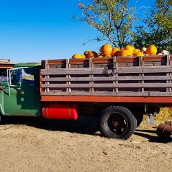 mile high farms colorado pumpkins truck