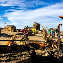 mile high farms colorado town