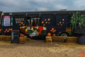 Mile High Farms Colorado 2020 55