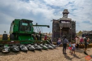 Mile High Farms Colorado 2020 59