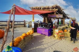 Mile High Farms Colorado 2020 67