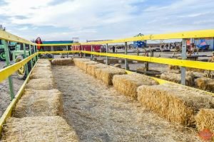 Mile High Farms Colorado 2020 71