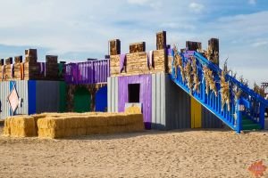 Mile High Farms Colorado 2020 72