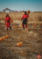 Mile High Farms Colorado 2020 82