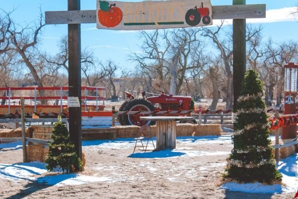 milehighfarms winterfestival 2021 36