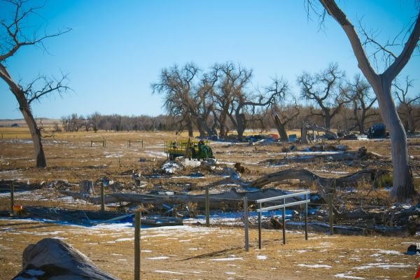 milehighfarms winterfestival 2021 38