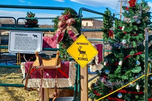 milehighfarms winterfestival 2021 39