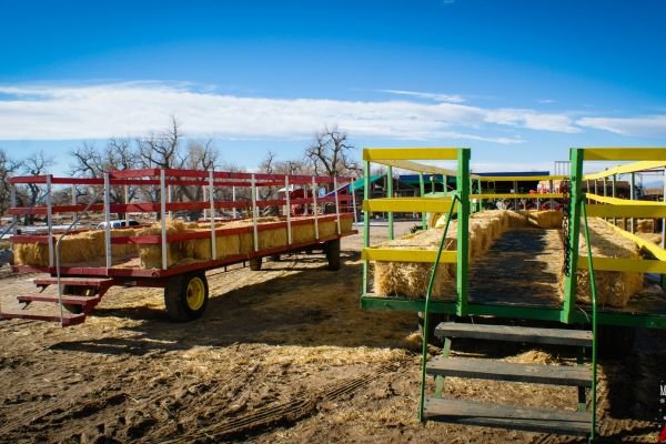 milehighfarms winterfestival 2021 40