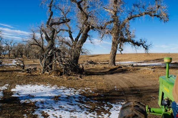 milehighfarms winterfestival 2021 41
