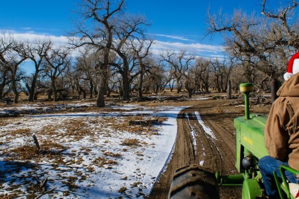 milehighfarms winterfestival 2021 42