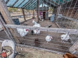 mile high fall festival 2021 34