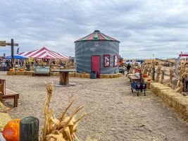 mile high fall festival 2021 41