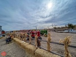 mile high fall festival 2021 44