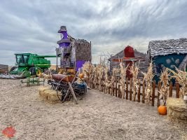 mile high fall festival 2021 54