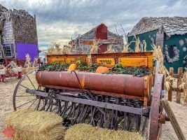 mile high fall festival 2021 55