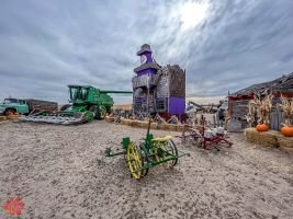 mile high fall festival 2021 57