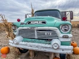 mile high fall festival 2021 60