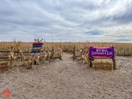 mile high fall festival 2021 63