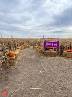 mile high fall festival 2021 77