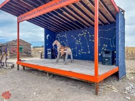 mile high fall festival 2021 78