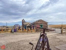 mile high fall festival 2021 80