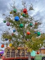 mile high fall festival 2021 86