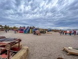 mile high fall festival 2021 87