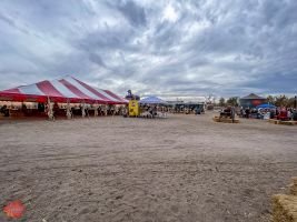 mile high fall festival 2021 88