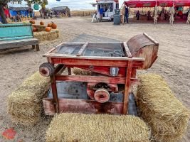 mile high fall festival 2021 89