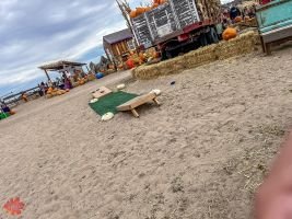 mile high fall festival 2021 90