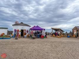 mile high fall festival 2021 93