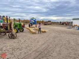 mile high fall festival 2021 94