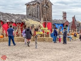 mile high fall festival 2021 98