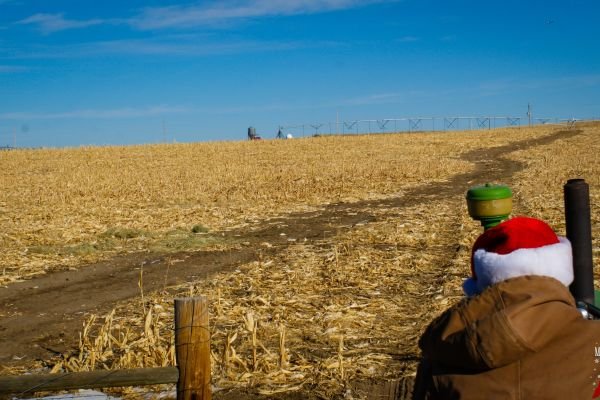 milehighfarms winterfestival 2021 44