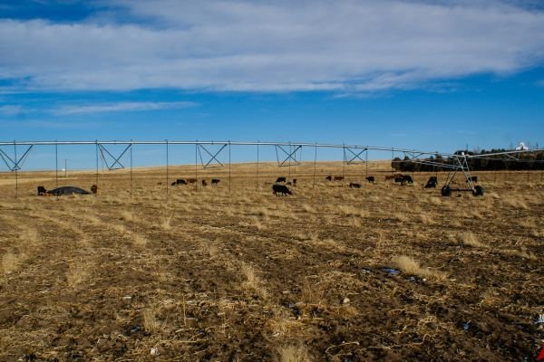 milehighfarms winterfestival1 45