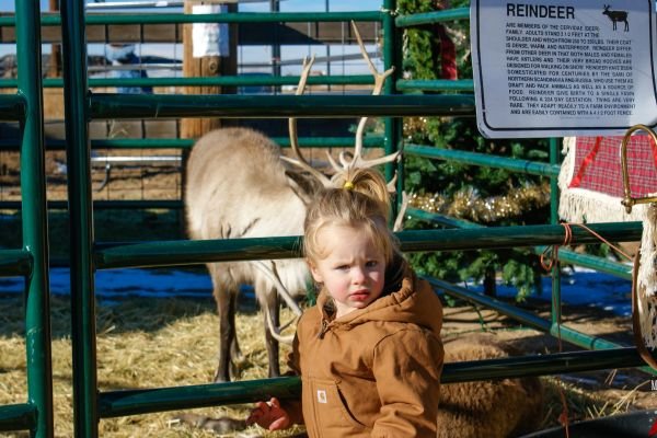 milehighfarms winterfestival 2021 48